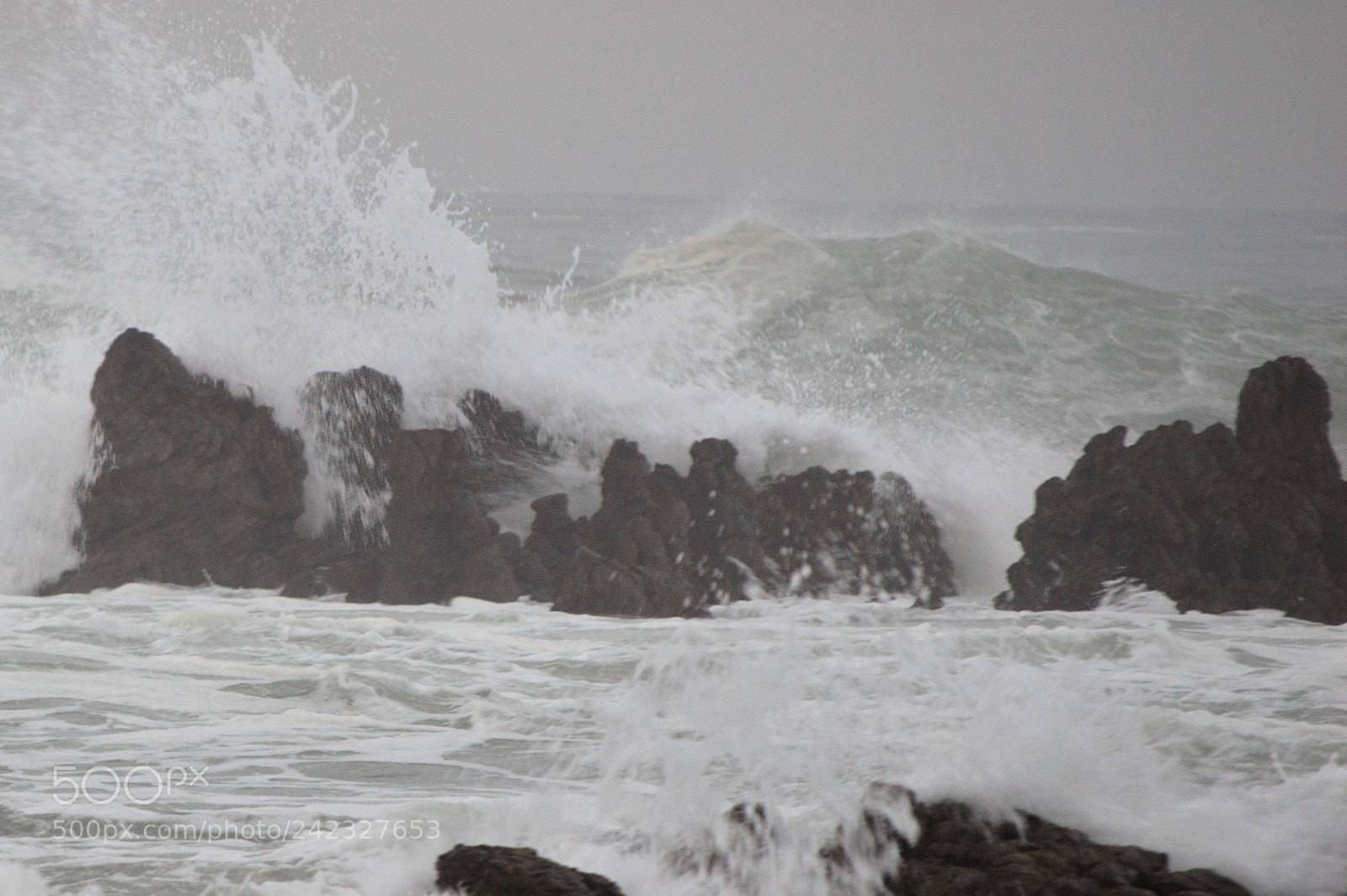 Nikon D3200 sample photo. () photography