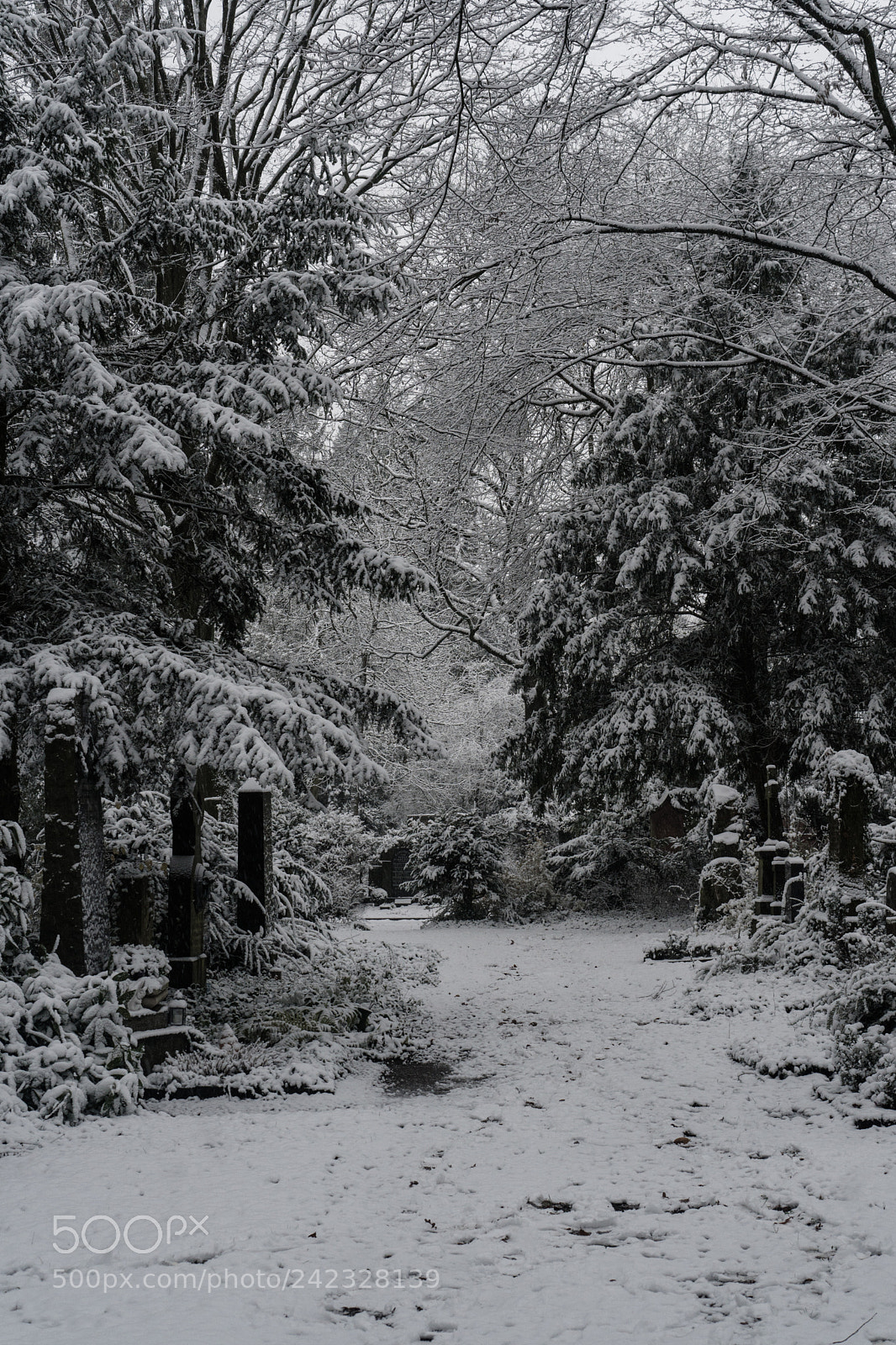 Sony a6300 sample photo. Farbfoto im schnee photography