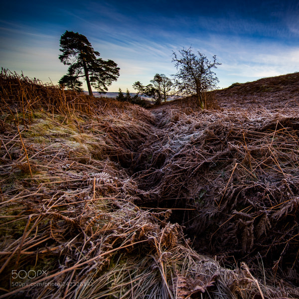 Canon EOS-1D X Mark II sample photo. Stoneymollan snow dusting photography