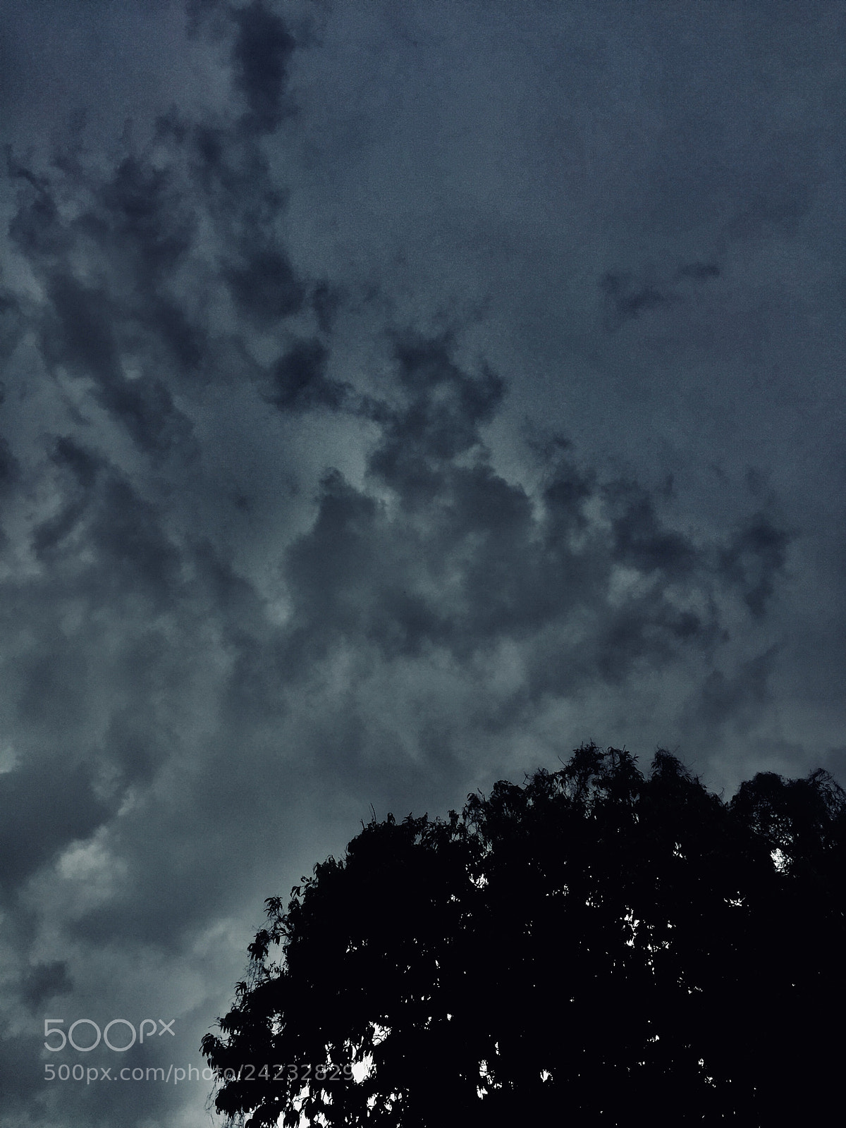 Apple iPhone 6 sample photo. Darkness in the eveing photography