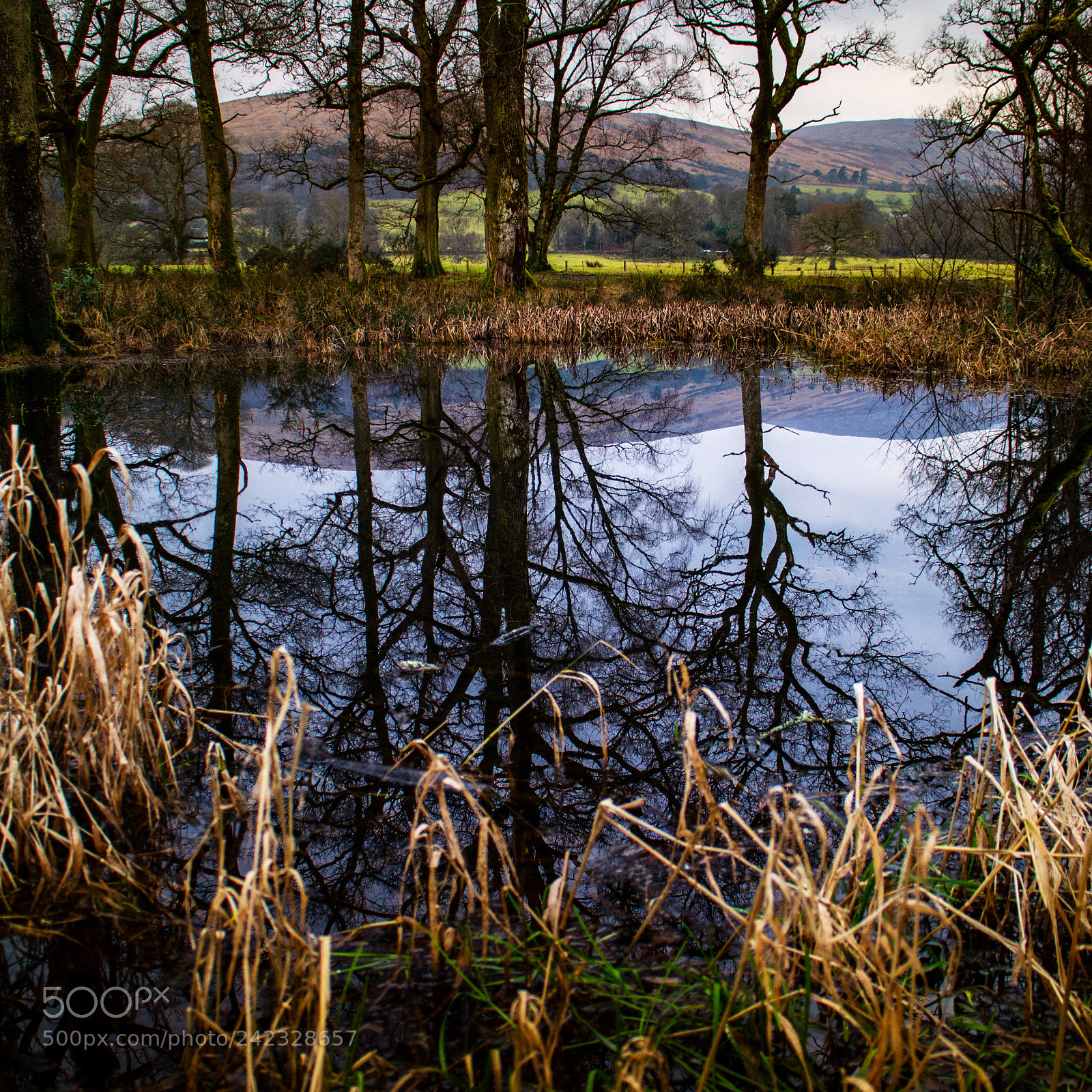 Canon EOS M3 sample photo. Reflections on the bonny photography