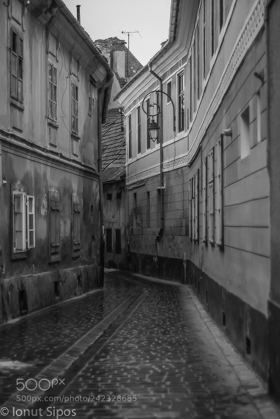 Nikon D200 sample photo. Black&white / brasov, ro photography