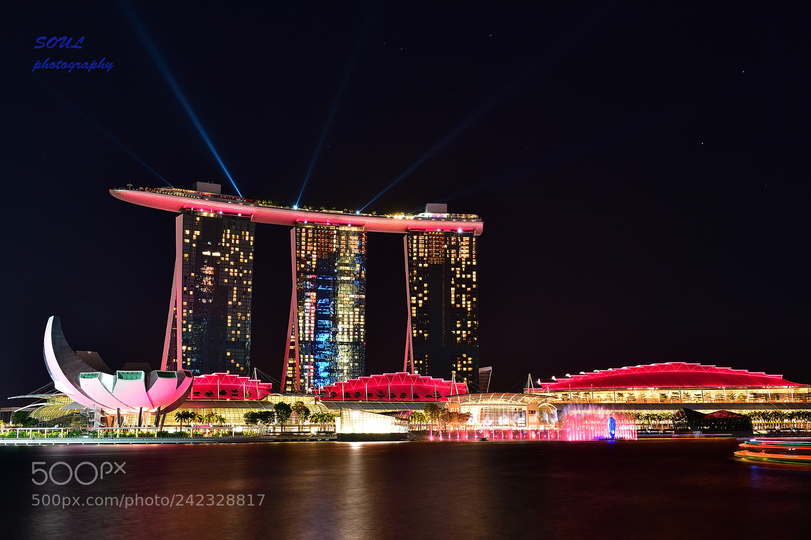 Nikon D5 sample photo. Sg night shot photography