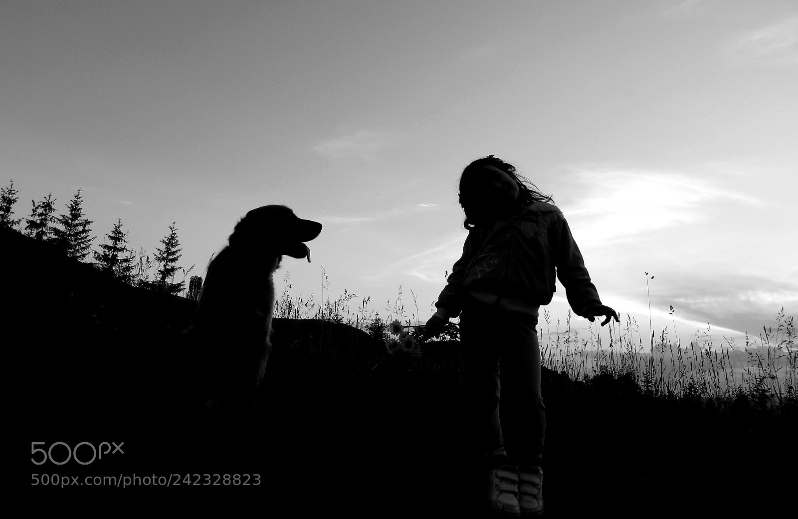 Nikon Coolpix L120 sample photo. My dog photography
