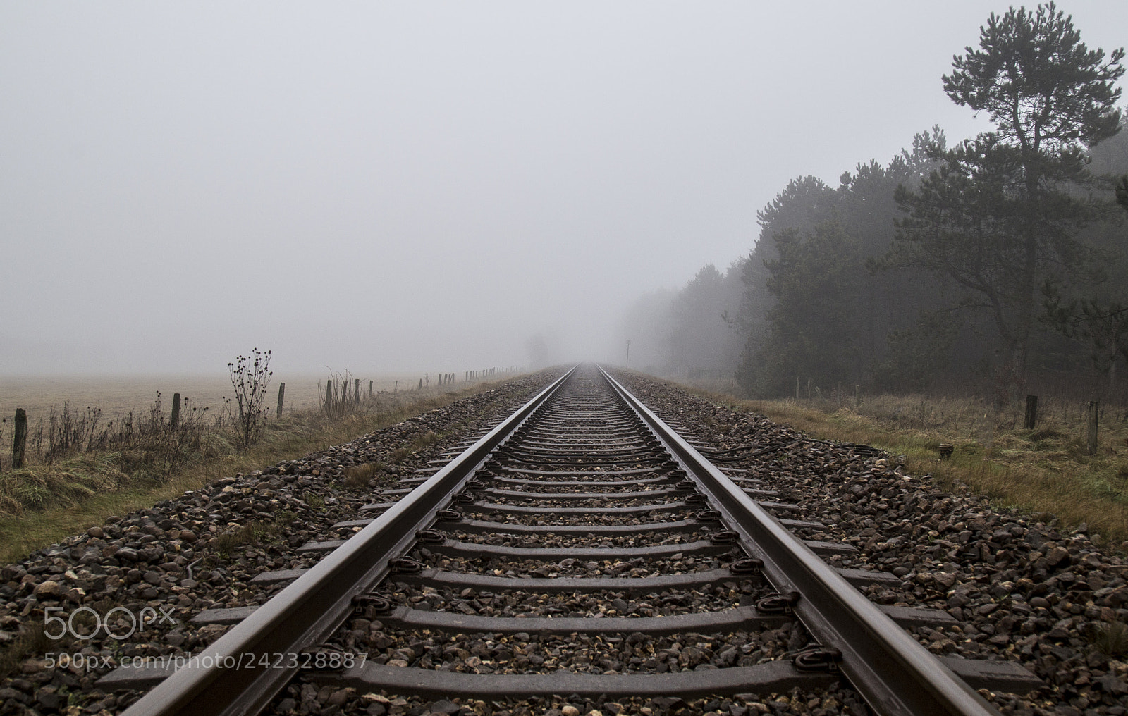 Canon EOS 6D sample photo. Railtrack in the mist photography