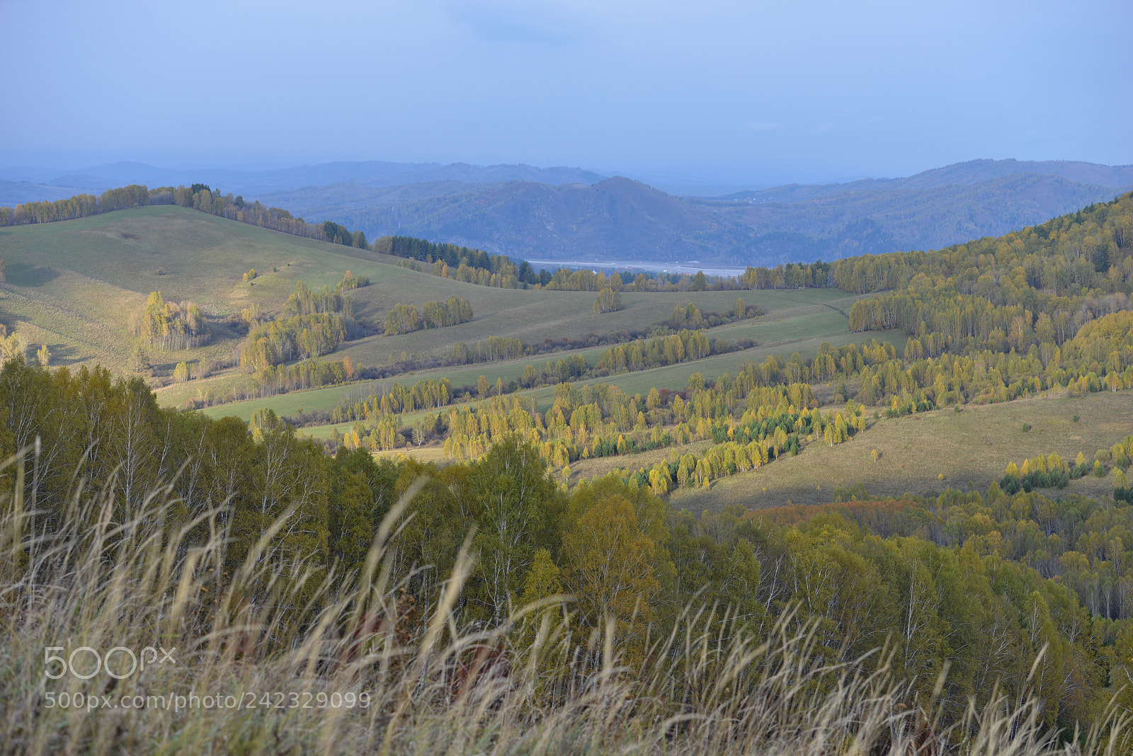 Nikon D800E sample photo. Altai photography