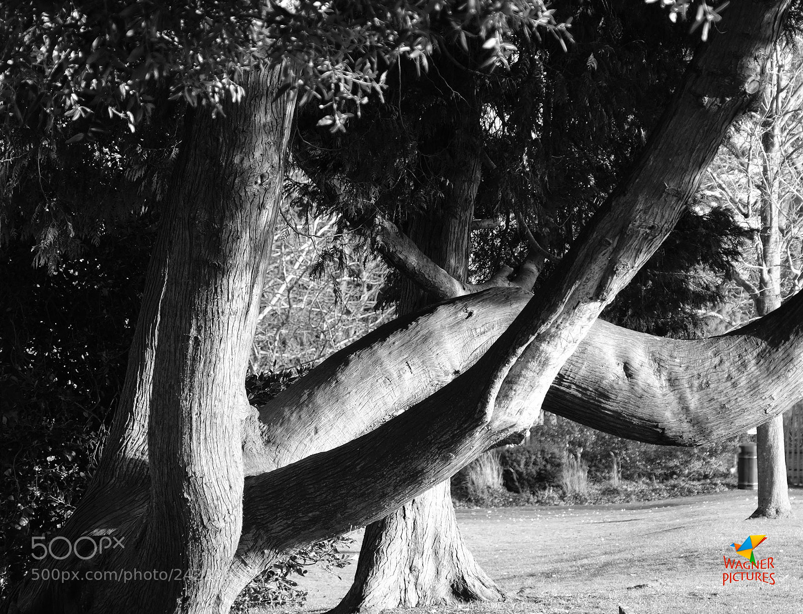 Fujifilm X-T2 sample photo. Interlock photography