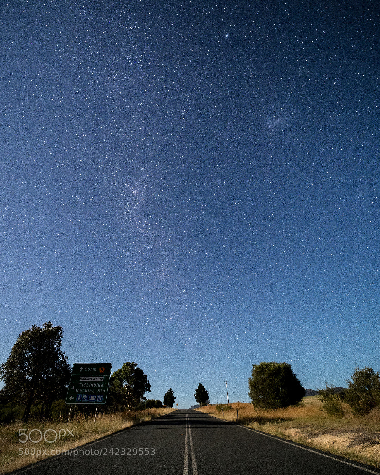 Canon EOS 6D Mark II sample photo. On the road to photography
