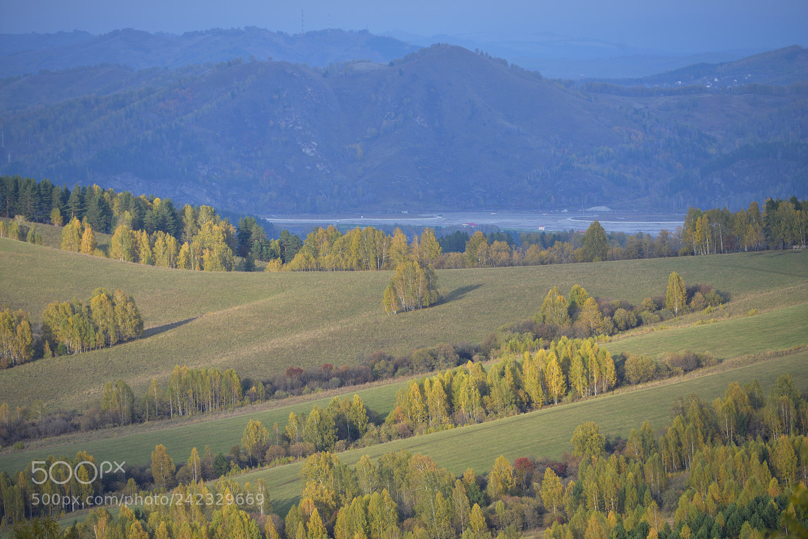 Nikon D800E sample photo. Altai photography