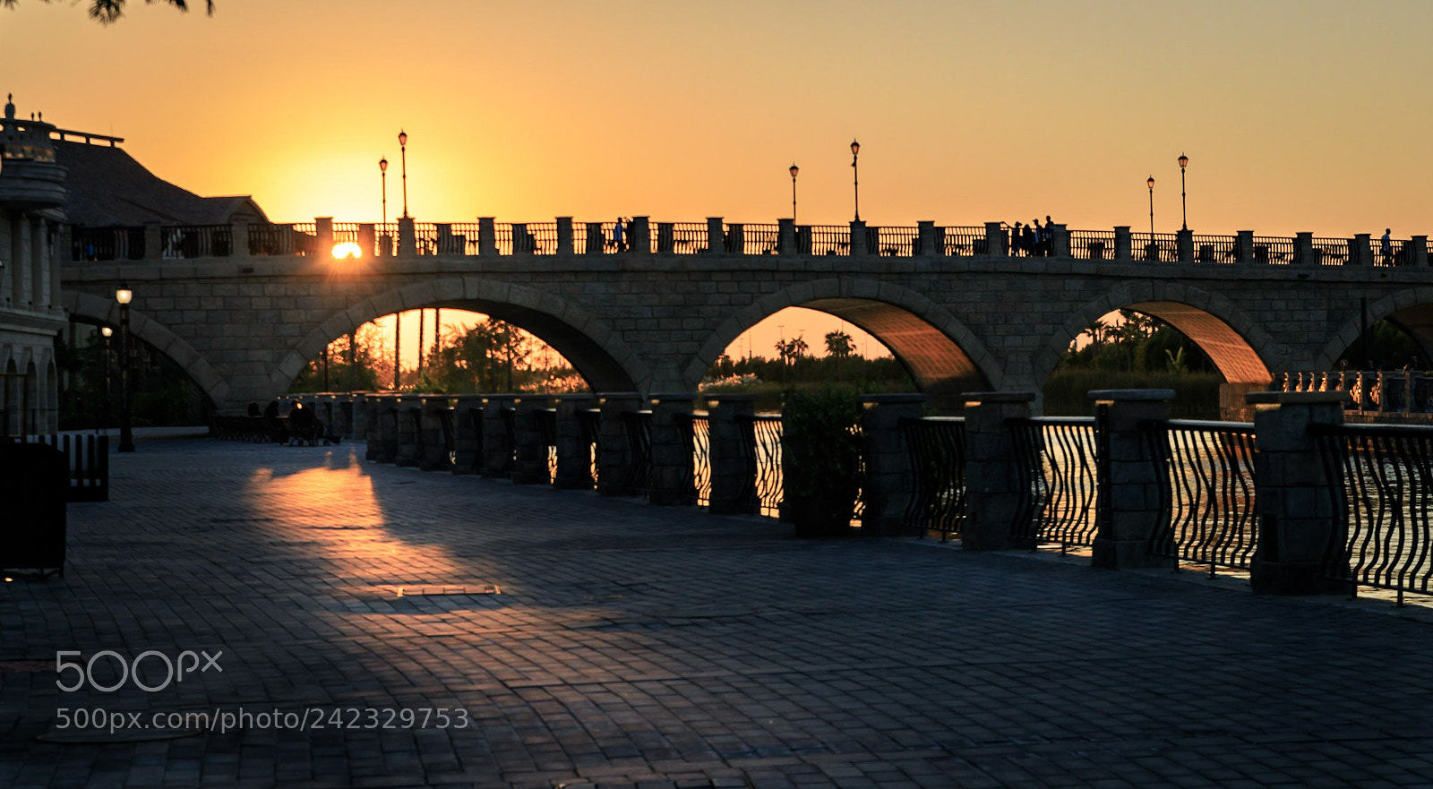 Canon EOS 6D Mark II sample photo. Untitled photography