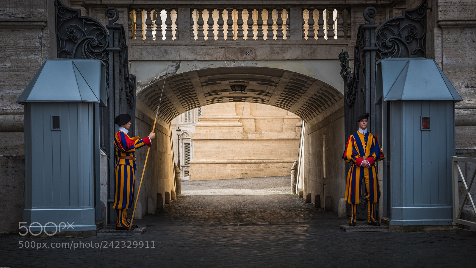 Nikon D810 sample photo. Guardie svizzere photography