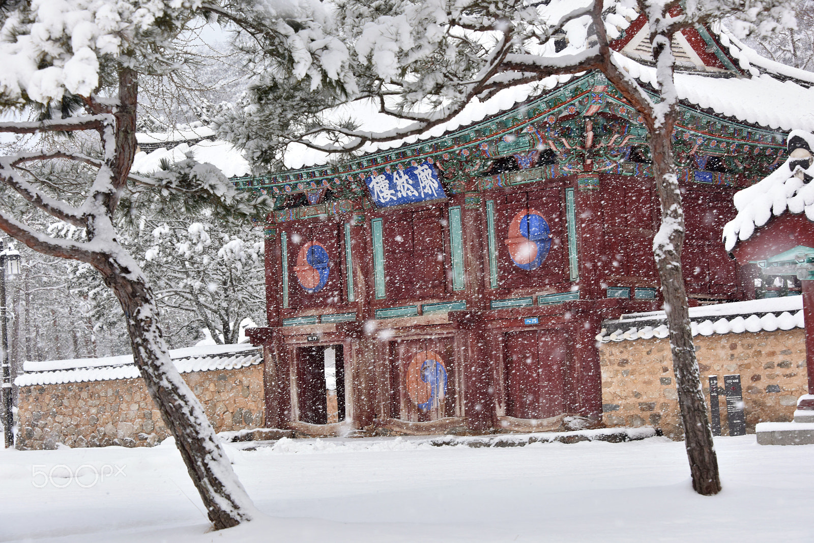 Nikon D810 sample photo. Snow photography