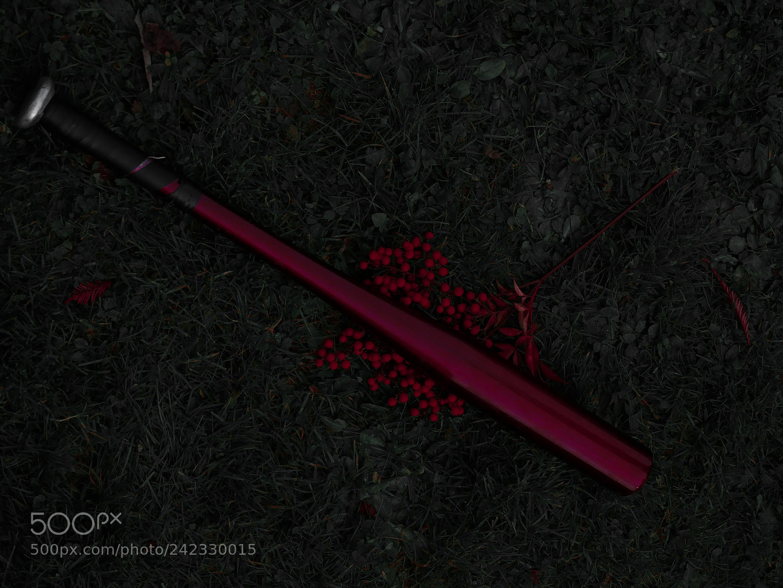 Panasonic Lumix DMC-G85 (Lumix DMC-G80) sample photo. Red leaves  photography