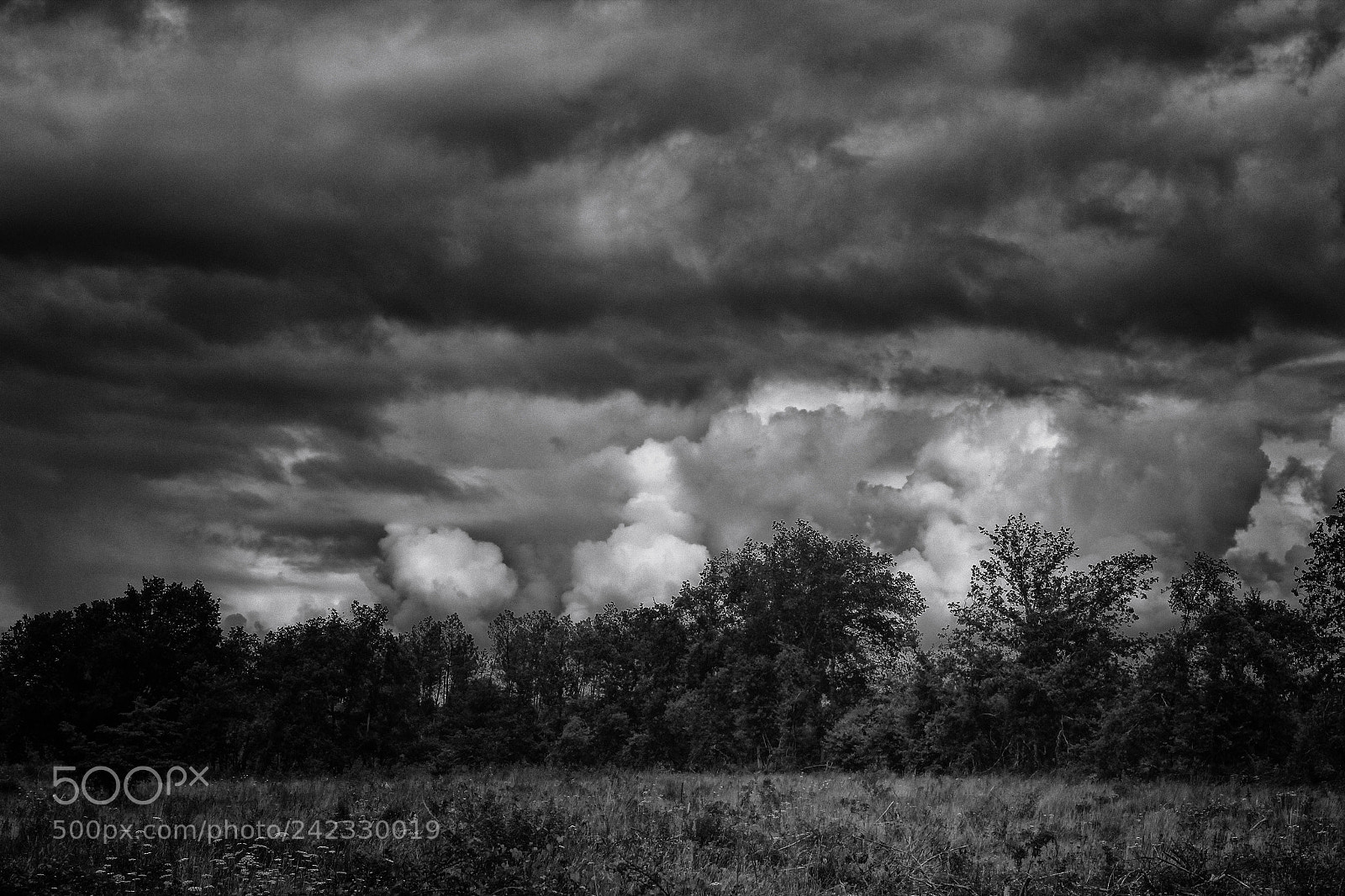 Canon EOS 550D (EOS Rebel T2i / EOS Kiss X4) sample photo. Wolken, studie photography