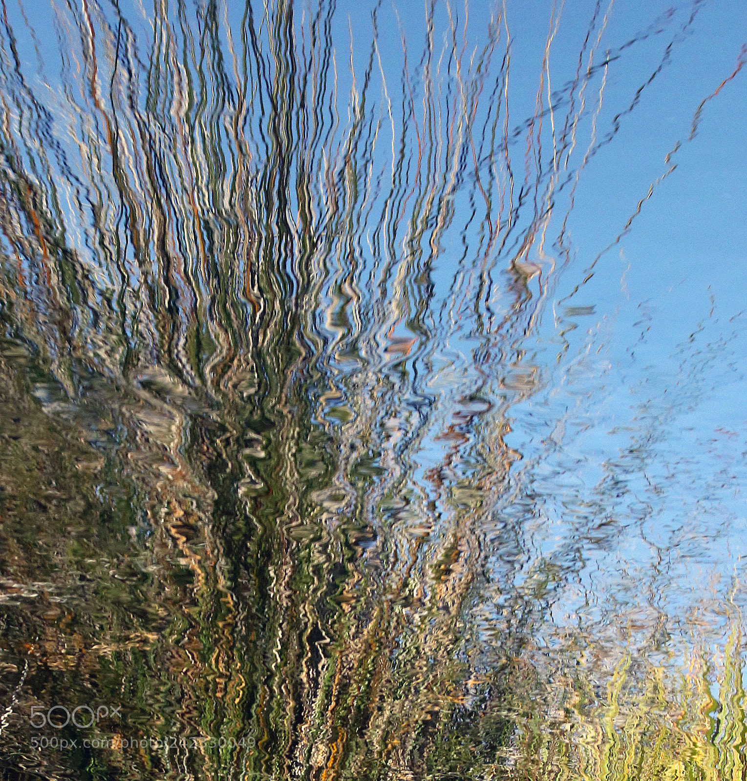 Canon EOS 7D Mark II sample photo. High on grass photography