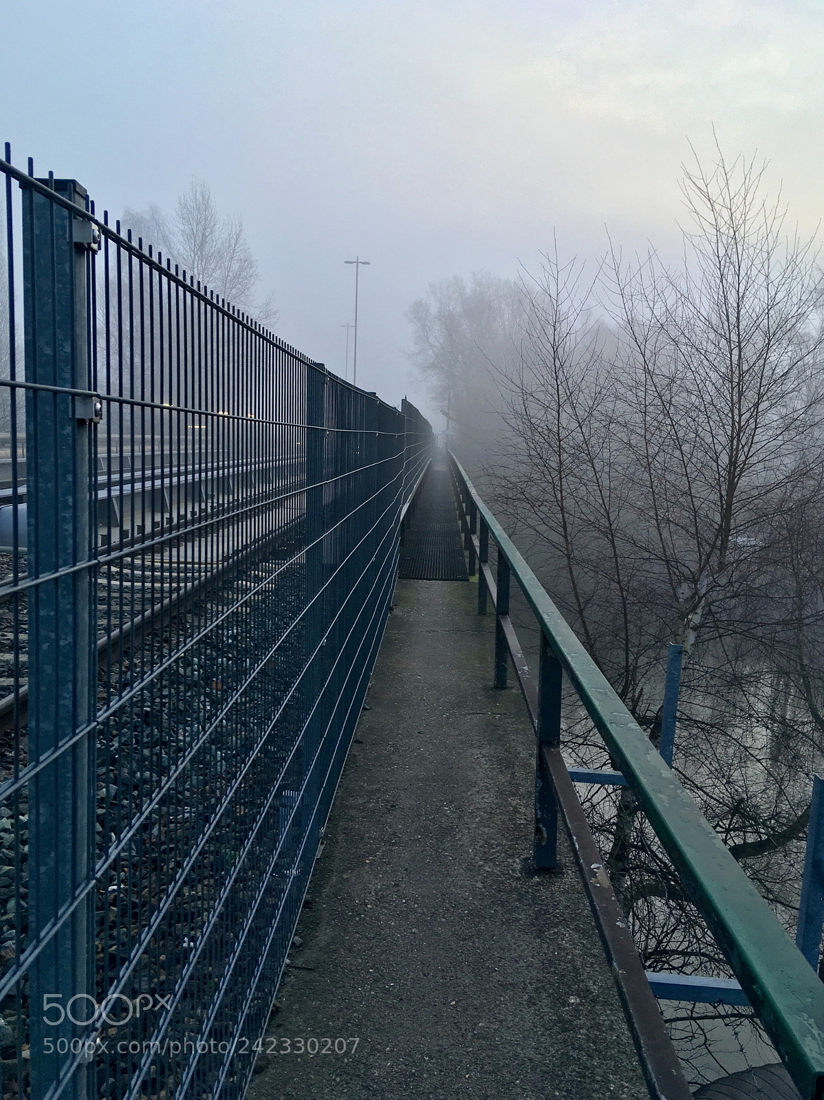 Apple iPhone SE sample photo. Bridge iii photography