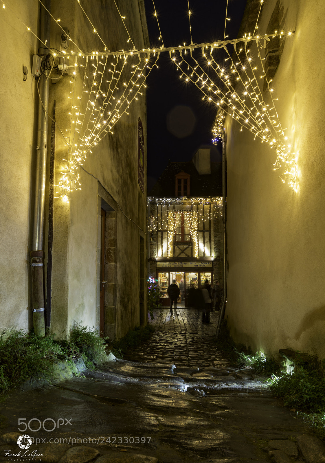 Nikon D7100 sample photo. Rochefort-en-terre christmas illumination - 5 photography