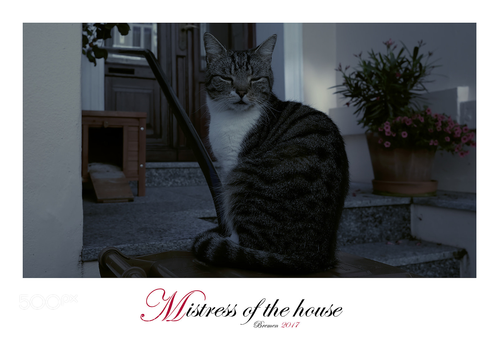 Fujifilm X-T1 sample photo. Mistress of the house photography
