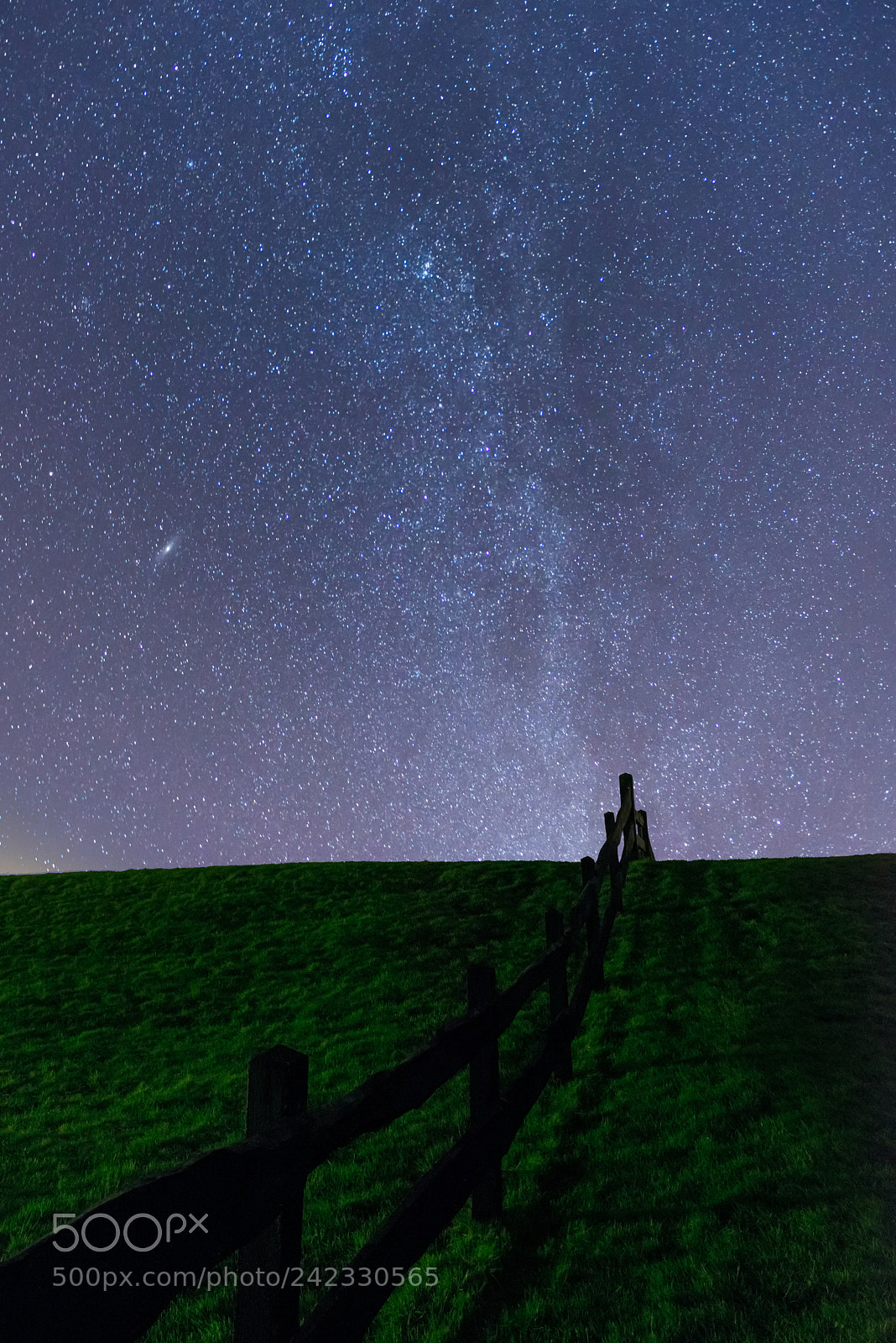 Nikon D800 sample photo. Starry night photography