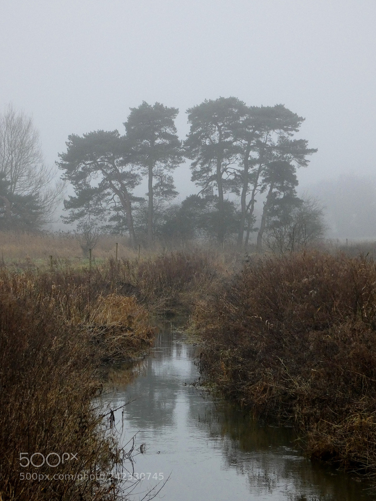Panasonic Lumix DC-FZ80 (Lumix DC-FZ82) sample photo. Misty morning, river wissey photography