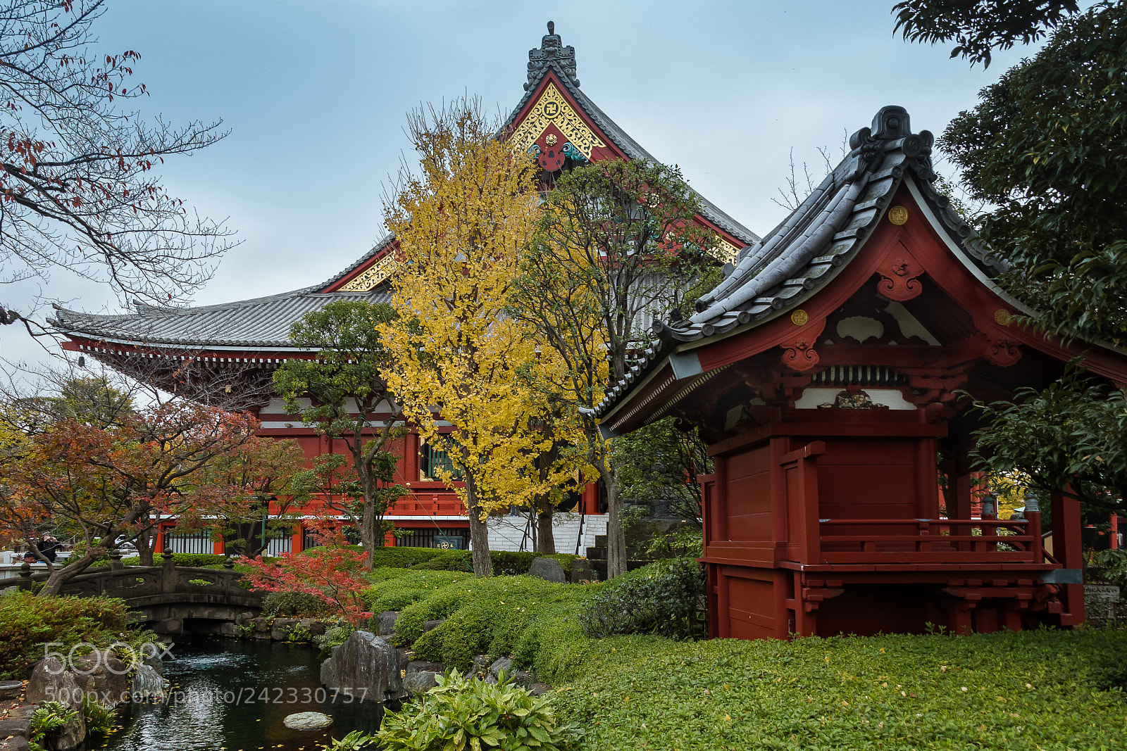 Nikon D5500 sample photo. Kannon temple tokyo trees photography