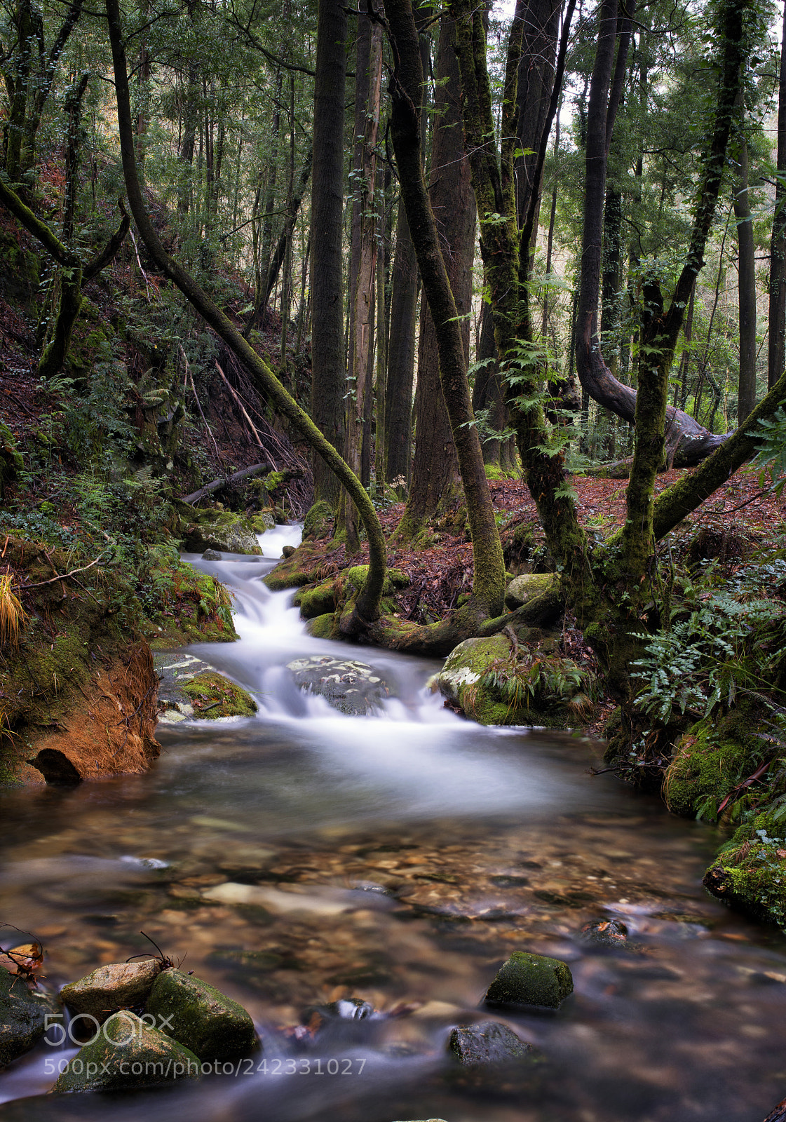 Nikon D800 sample photo. Vuelven las aguas ii photography