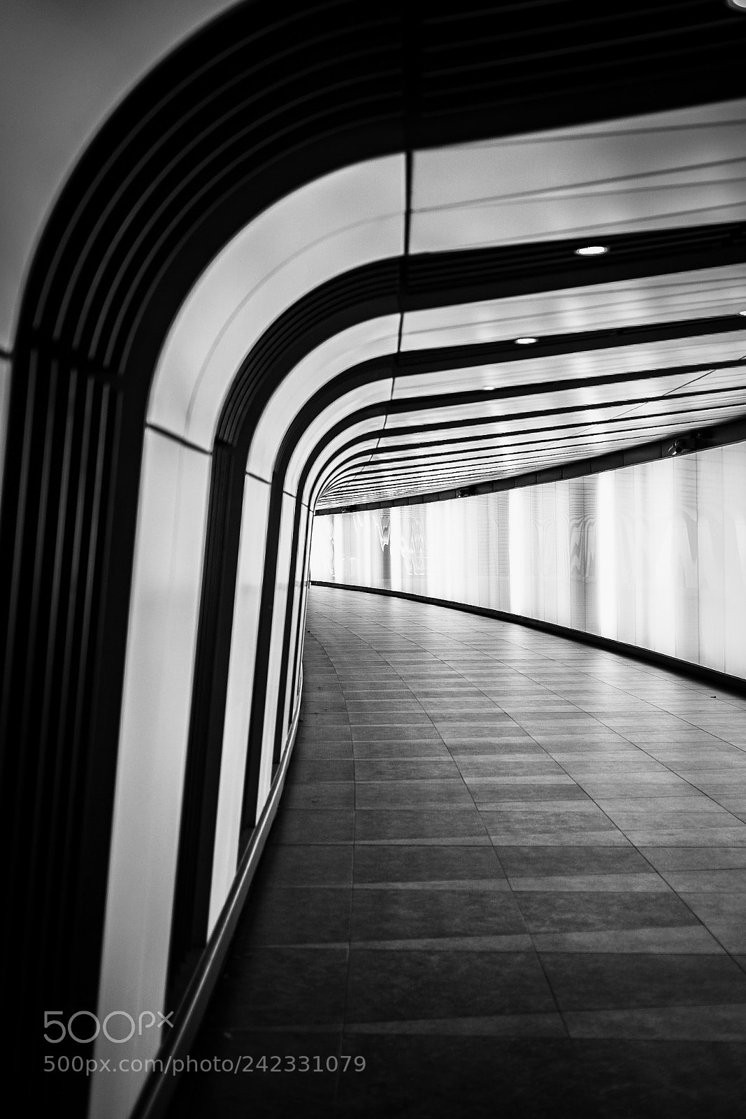 Fujifilm X-Pro1 sample photo. Untitled photography