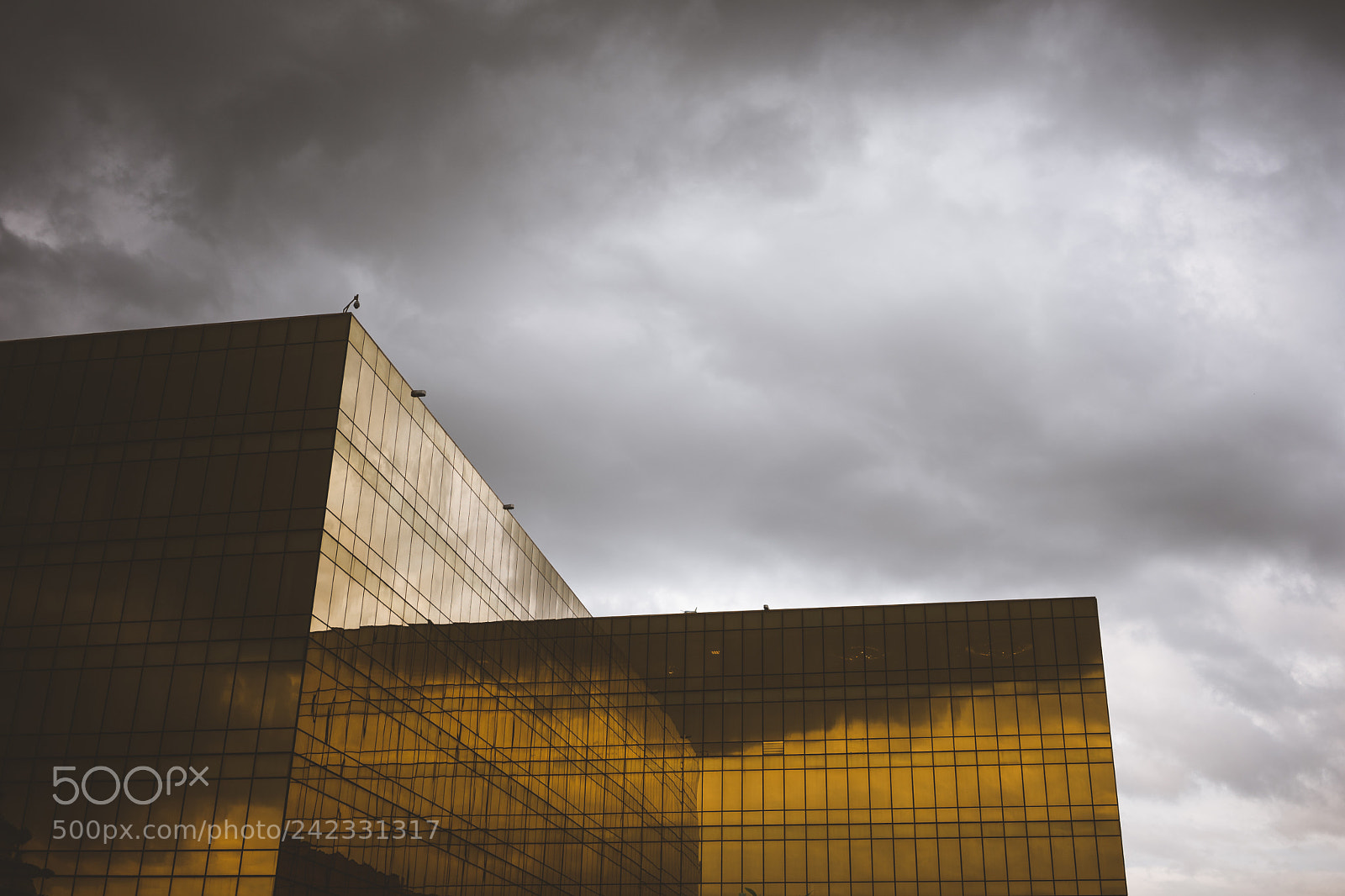 Sony a7 II sample photo. Gold nugget photography