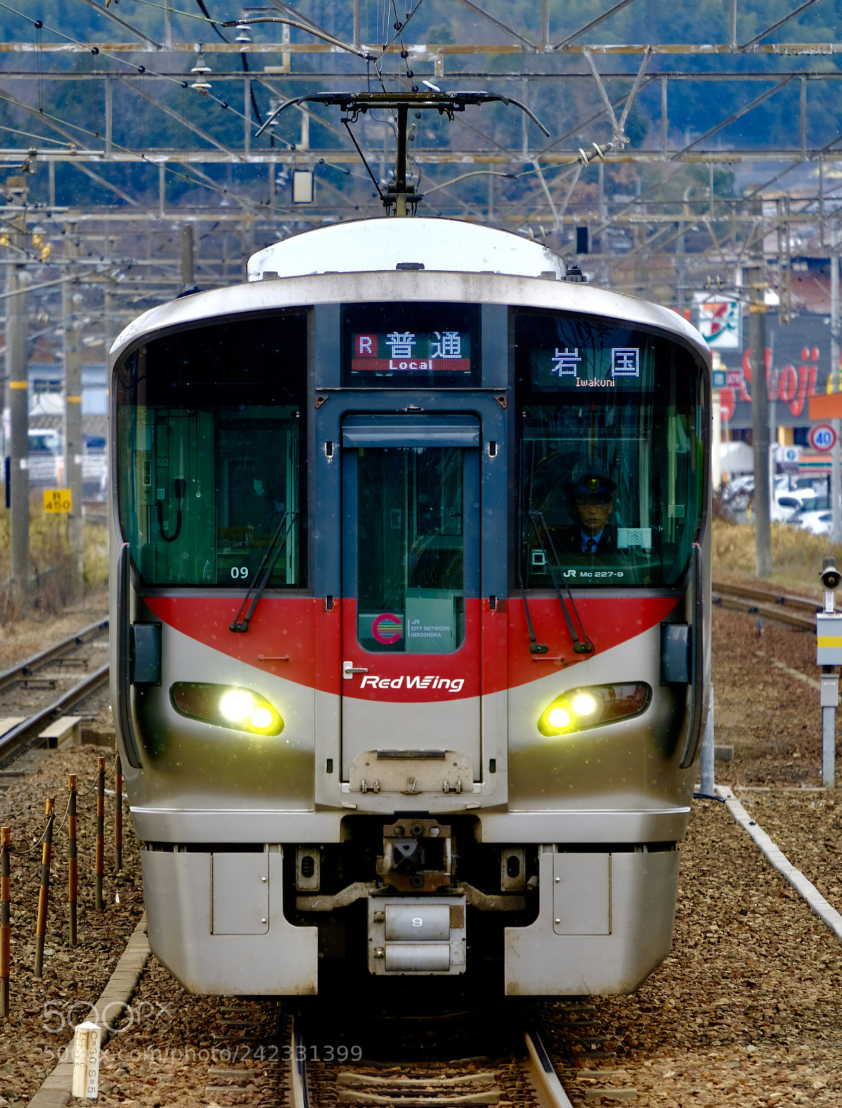 Fujifilm X-Pro2 sample photo. Redwing photography