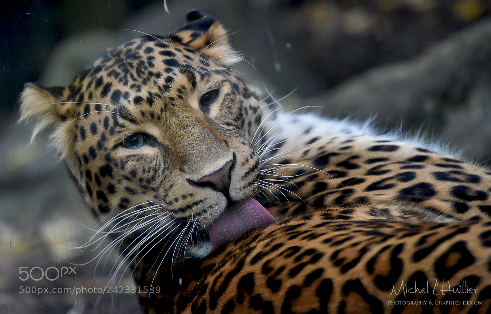Nikon D810 sample photo. Cleaning... photography