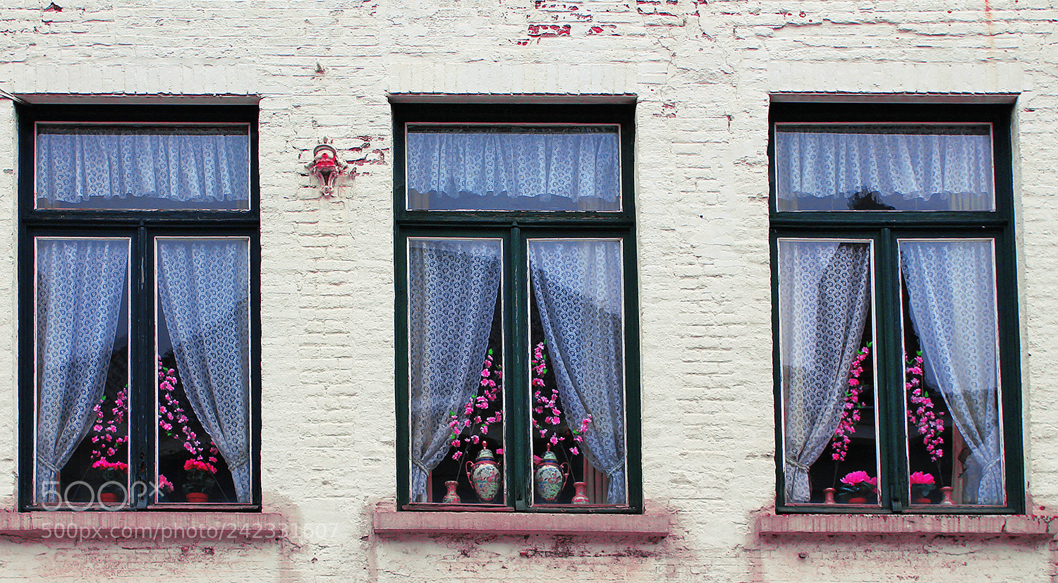 Canon EOS 1100D (EOS Rebel T3 / EOS Kiss X50) sample photo. Windows photography