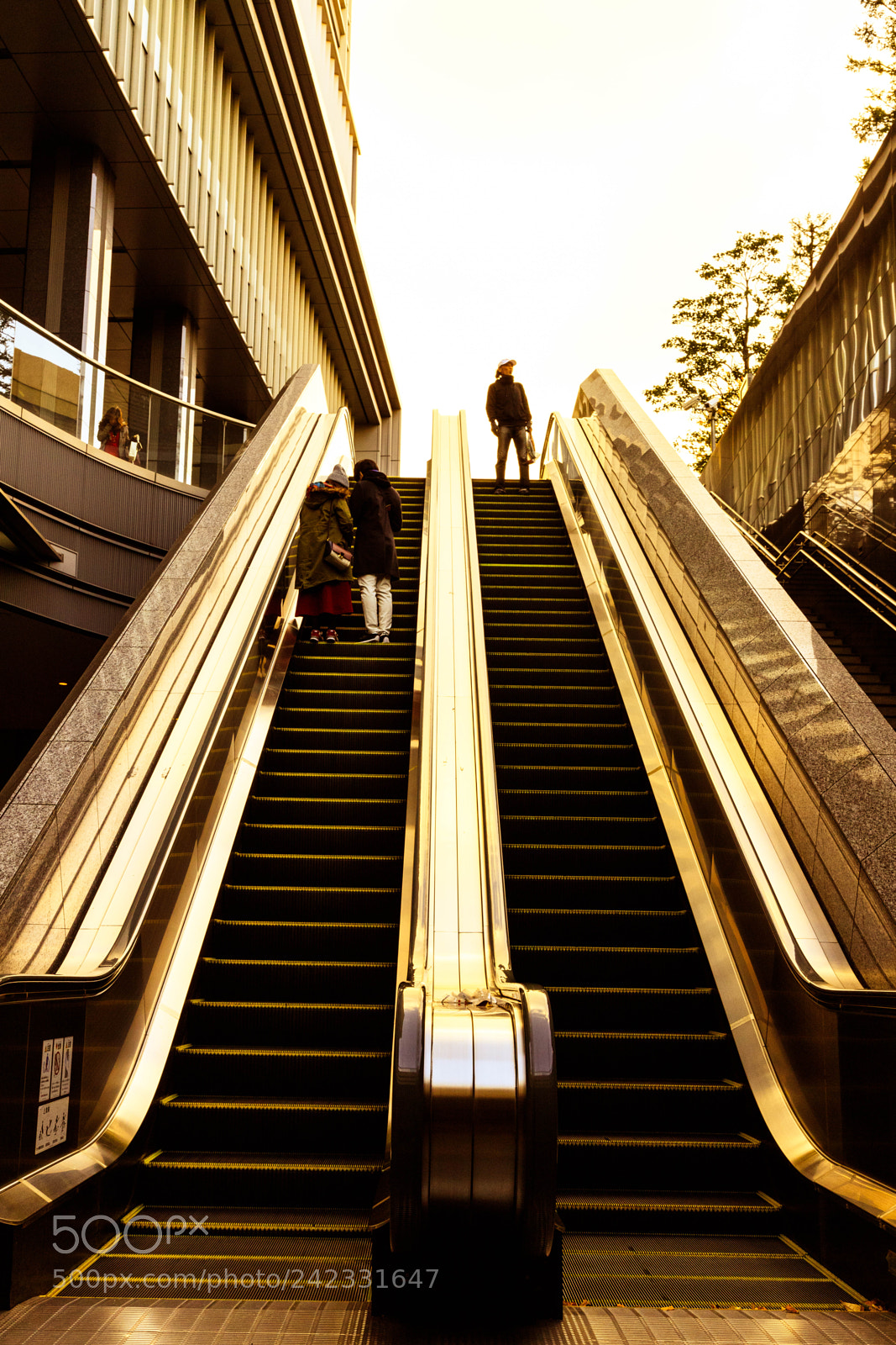 Canon EOS 6D Mark II sample photo. Golden stairway photography