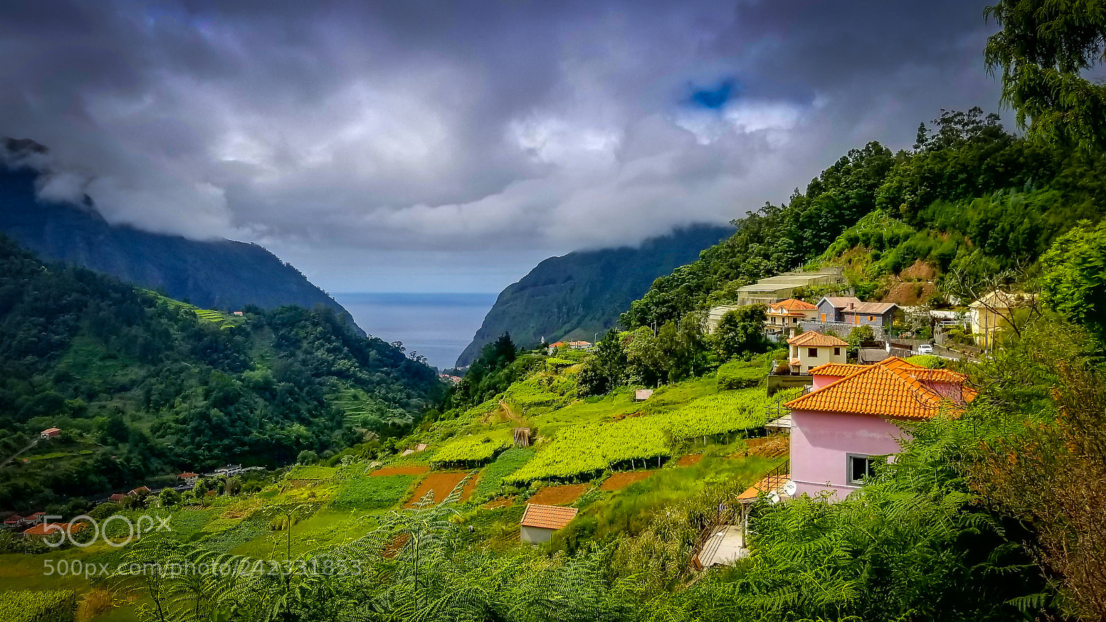 Samsung Galaxy S8 sample photo. Hillside beauty photography