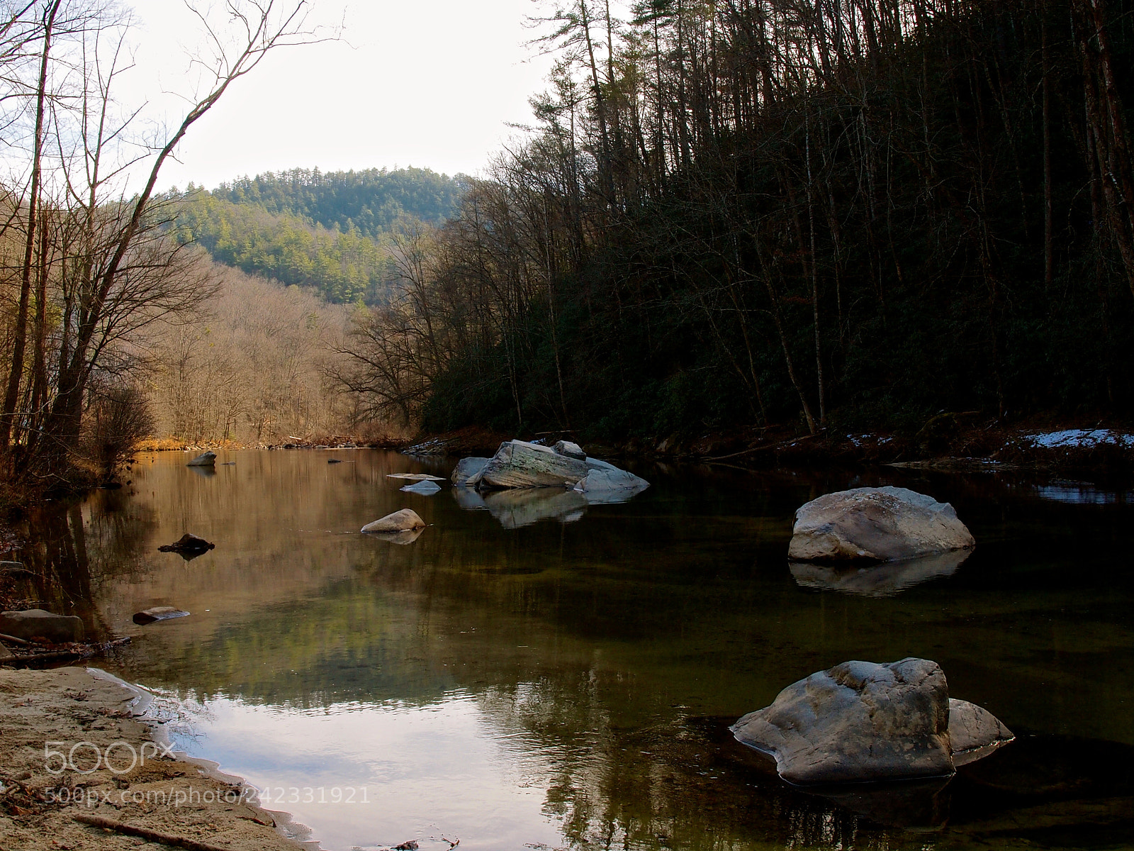 Olympus E-5 sample photo. Brown mt photography