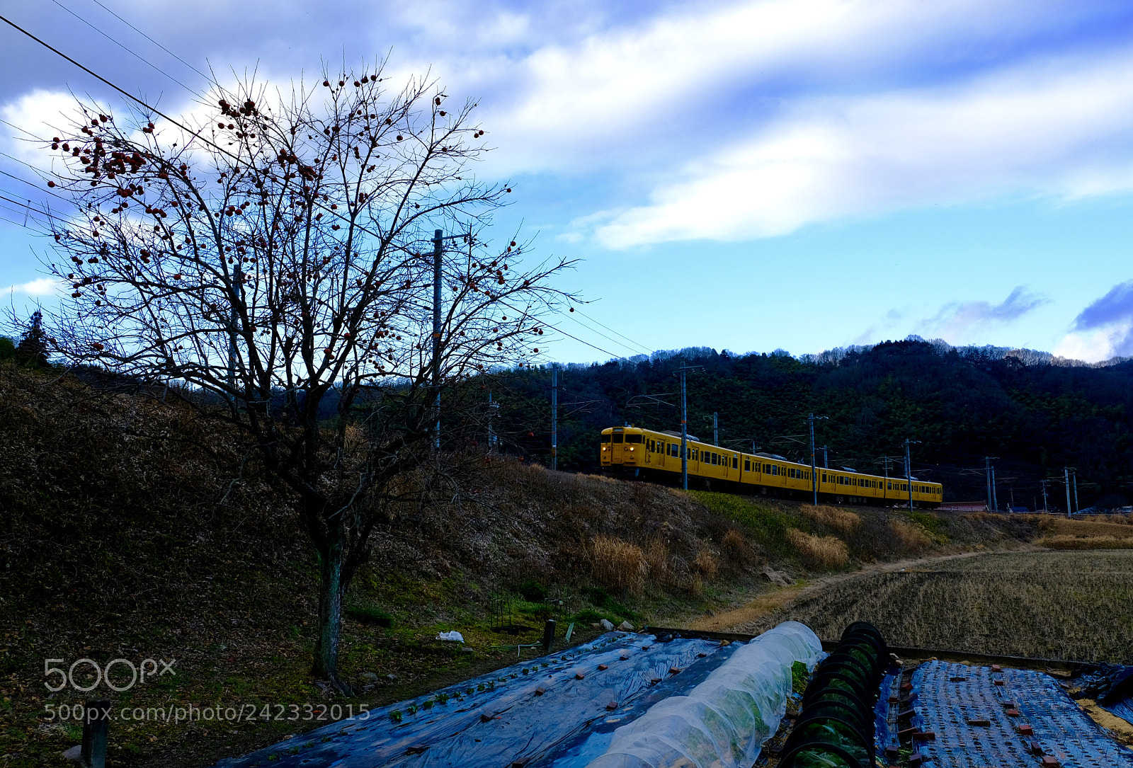 Fujifilm X-Pro2 sample photo. Sanyo line near nyuno photography