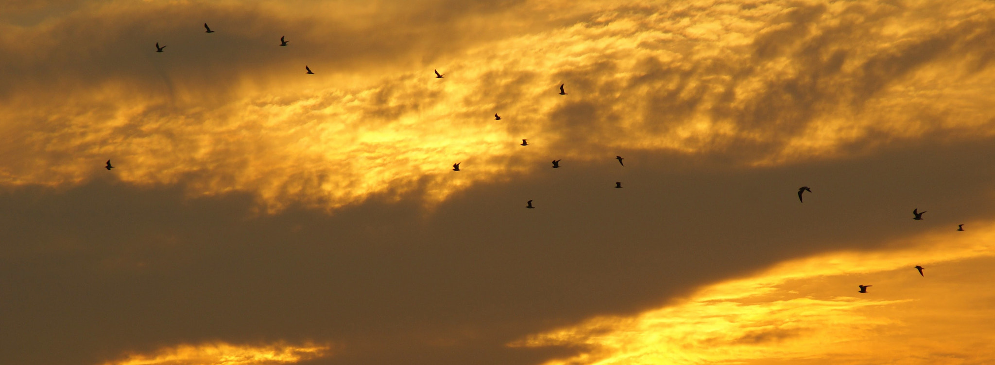 Sony DT 18-200mm F3.5-6.3 sample photo. In a life of heaven photography