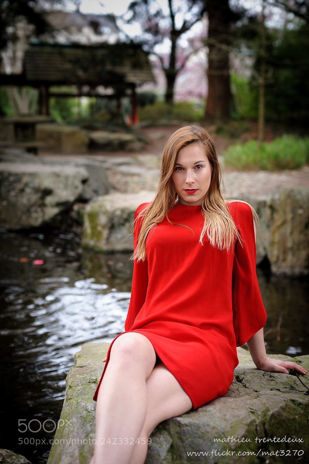 Nikon D700 sample photo. Youna, ile de versailles photography
