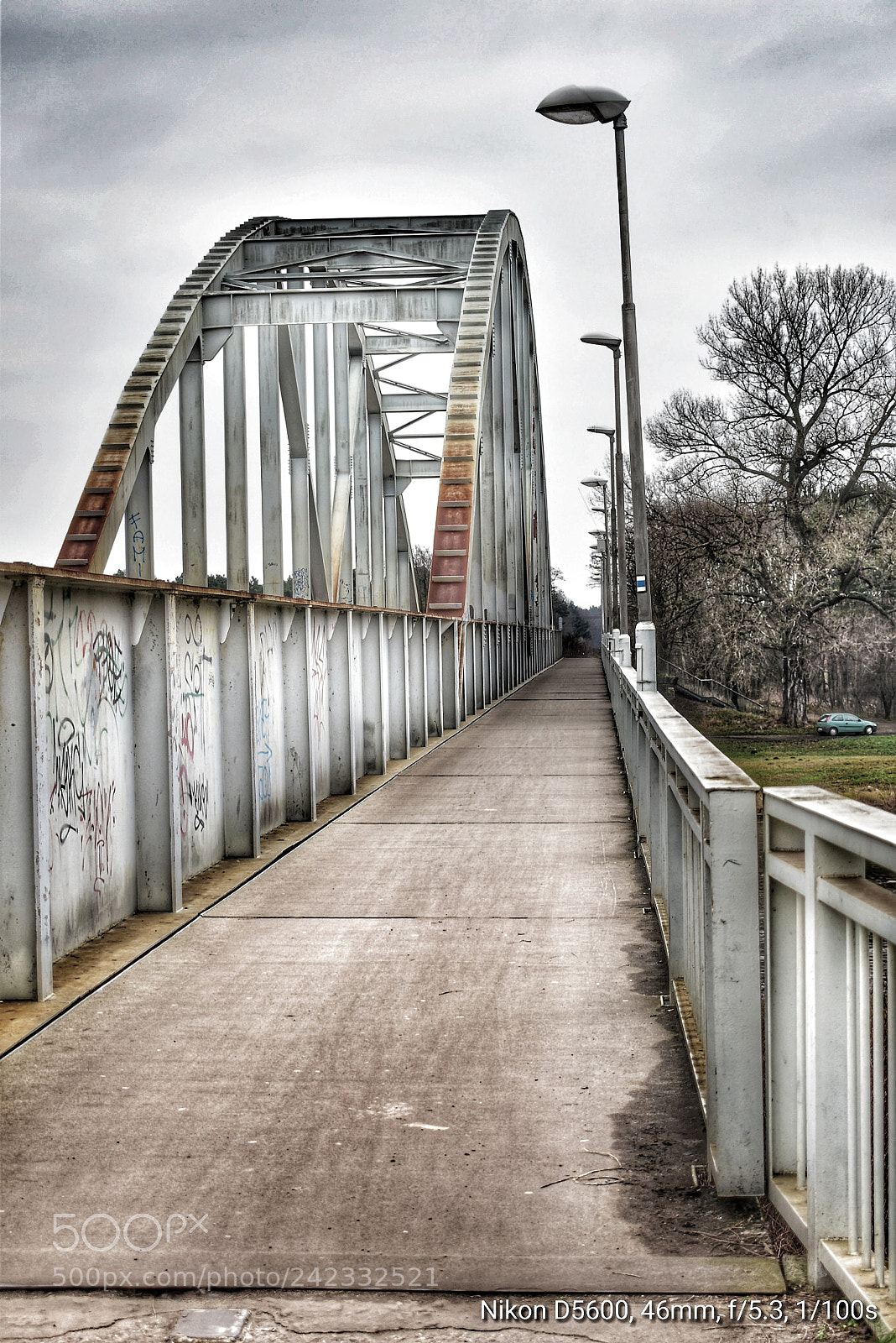 Nikon D5600 sample photo. Untitled photography