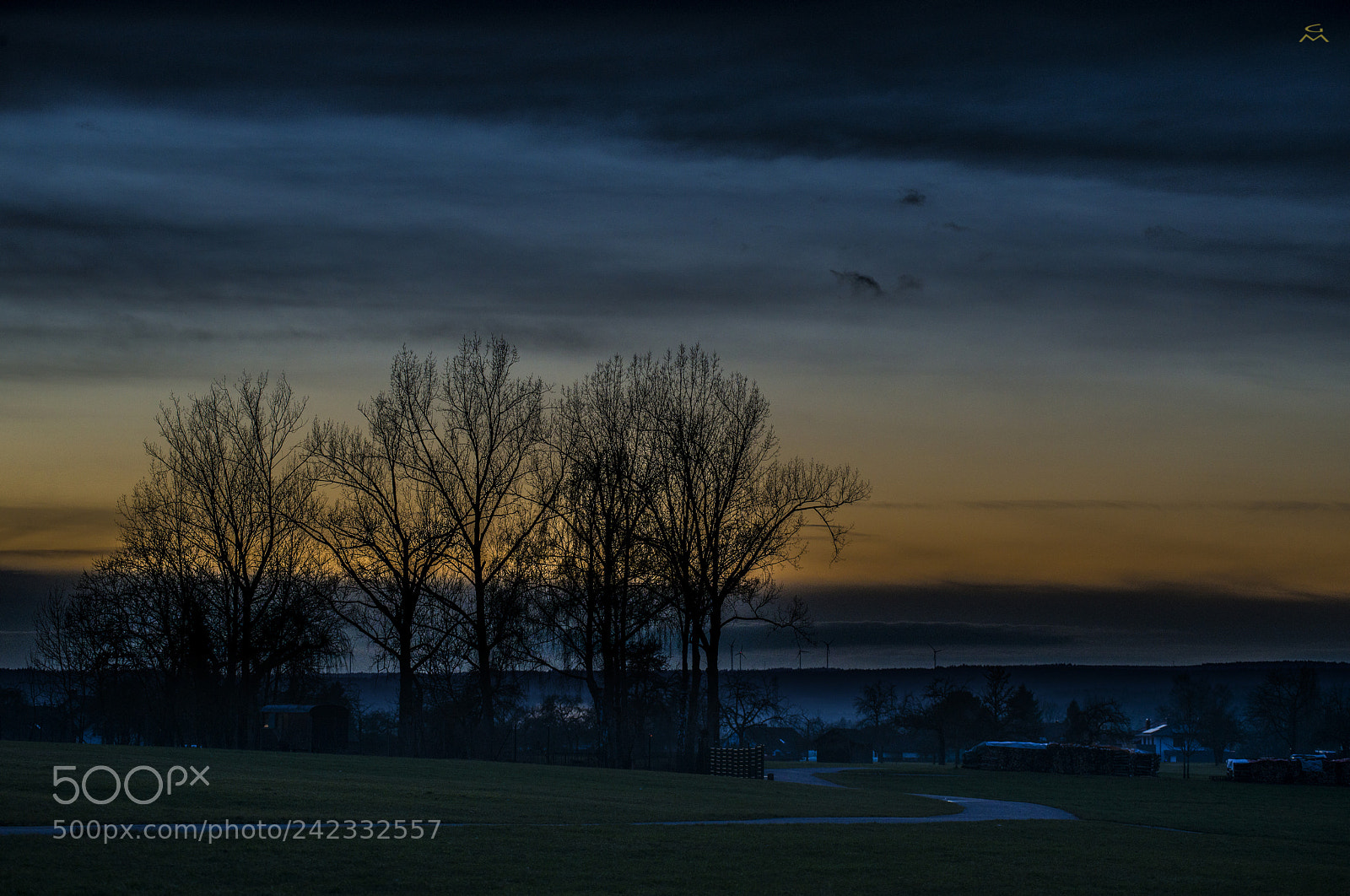 Nikon D800 sample photo. No winter evening - 2 photography