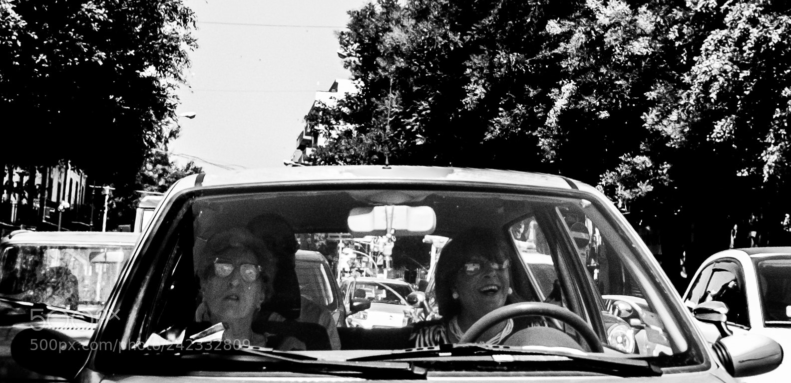 Fujifilm X20 sample photo. Contrast photography