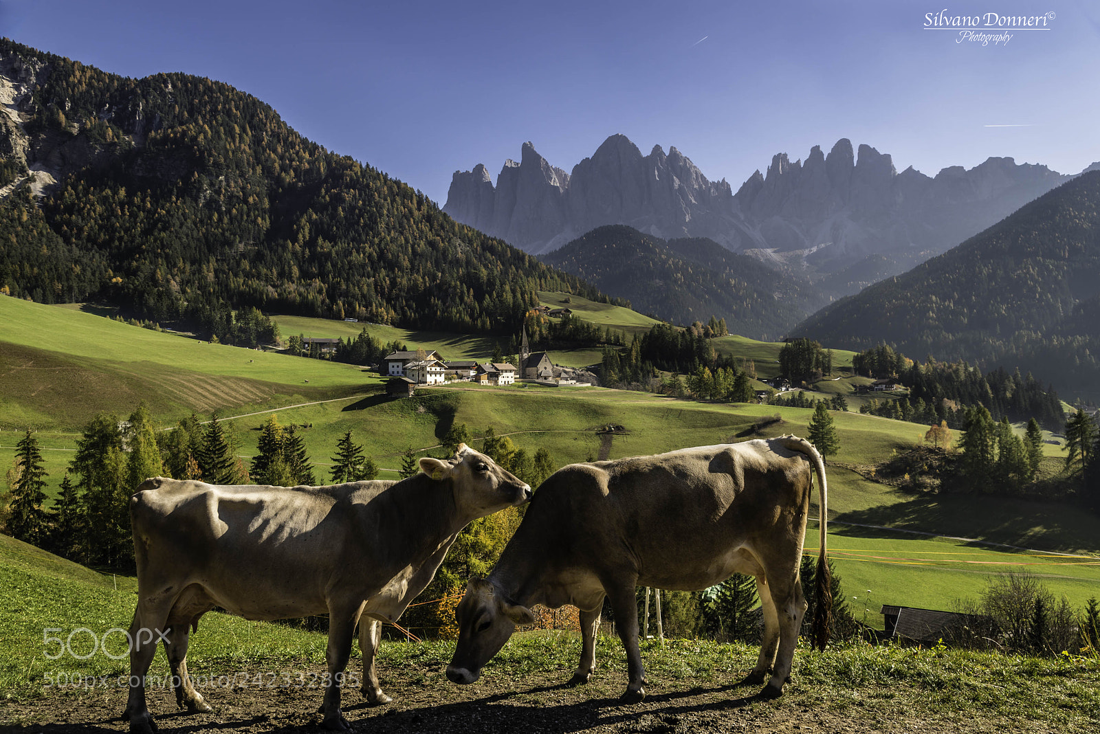 Nikon D800 sample photo. Val di funes e photography