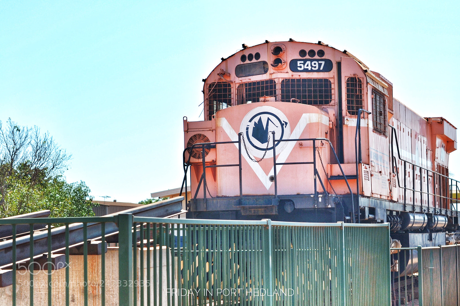 Nikon D3100 sample photo. Untitled photography