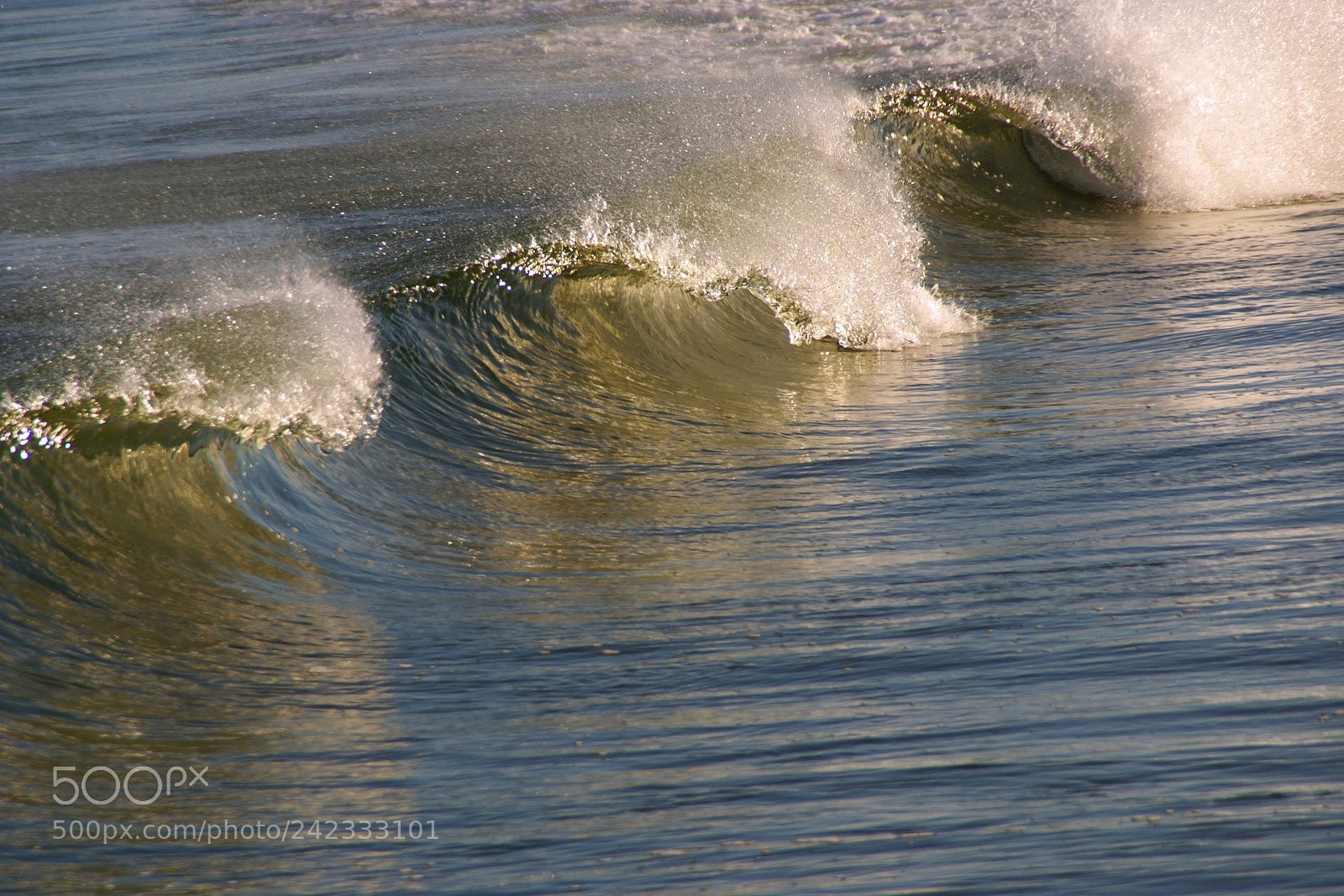 Sony Alpha DSLR-A100 sample photo. Wave acholic photography