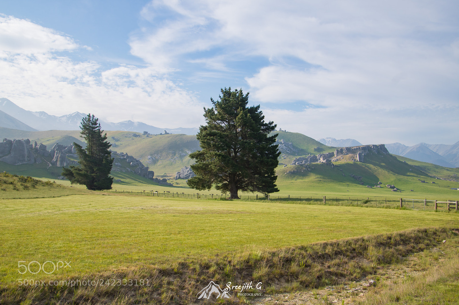 Canon EOS 760D (EOS Rebel T6s / EOS 8000D) sample photo. Kura tawhiti / castle hill photography