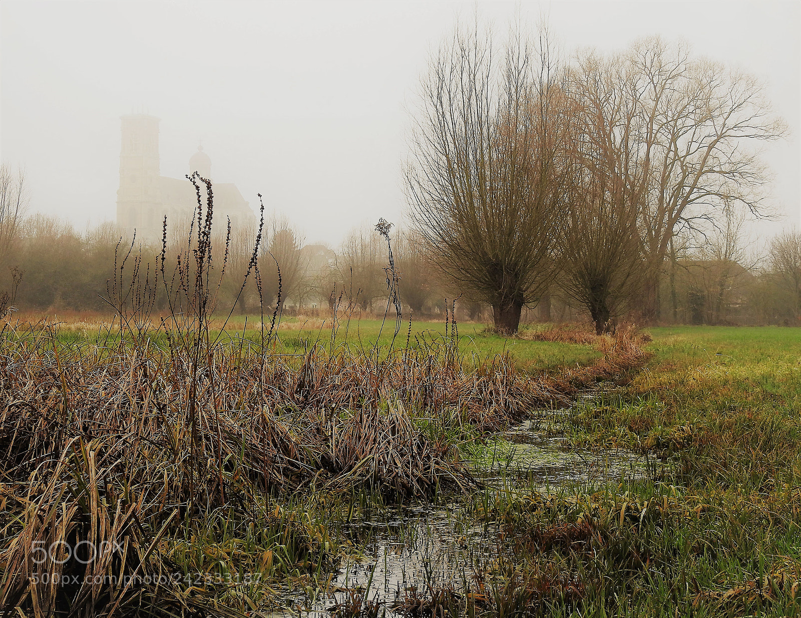 Nikon Coolpix P900 sample photo. Misty morning photography