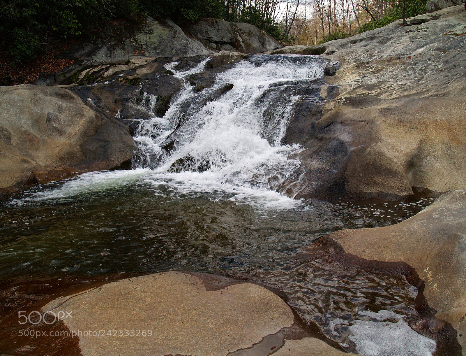 Olympus E-500 (EVOLT E-500) sample photo. Gragg prong photography