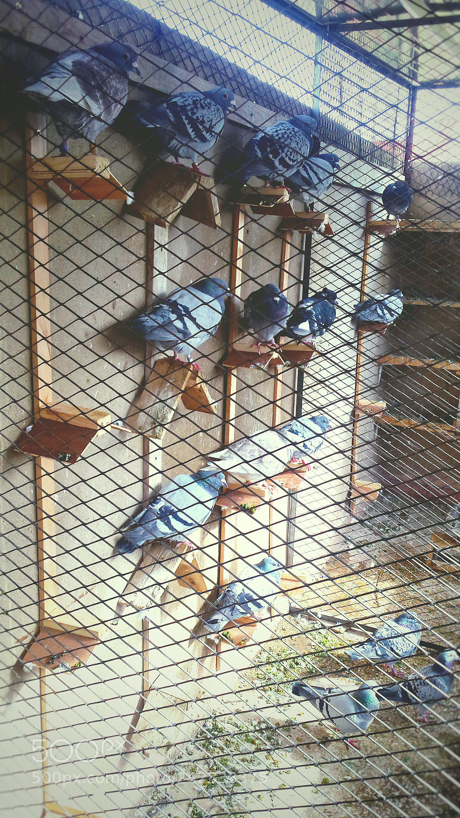 Samsung Galaxy S4 sample photo. Untitled photography