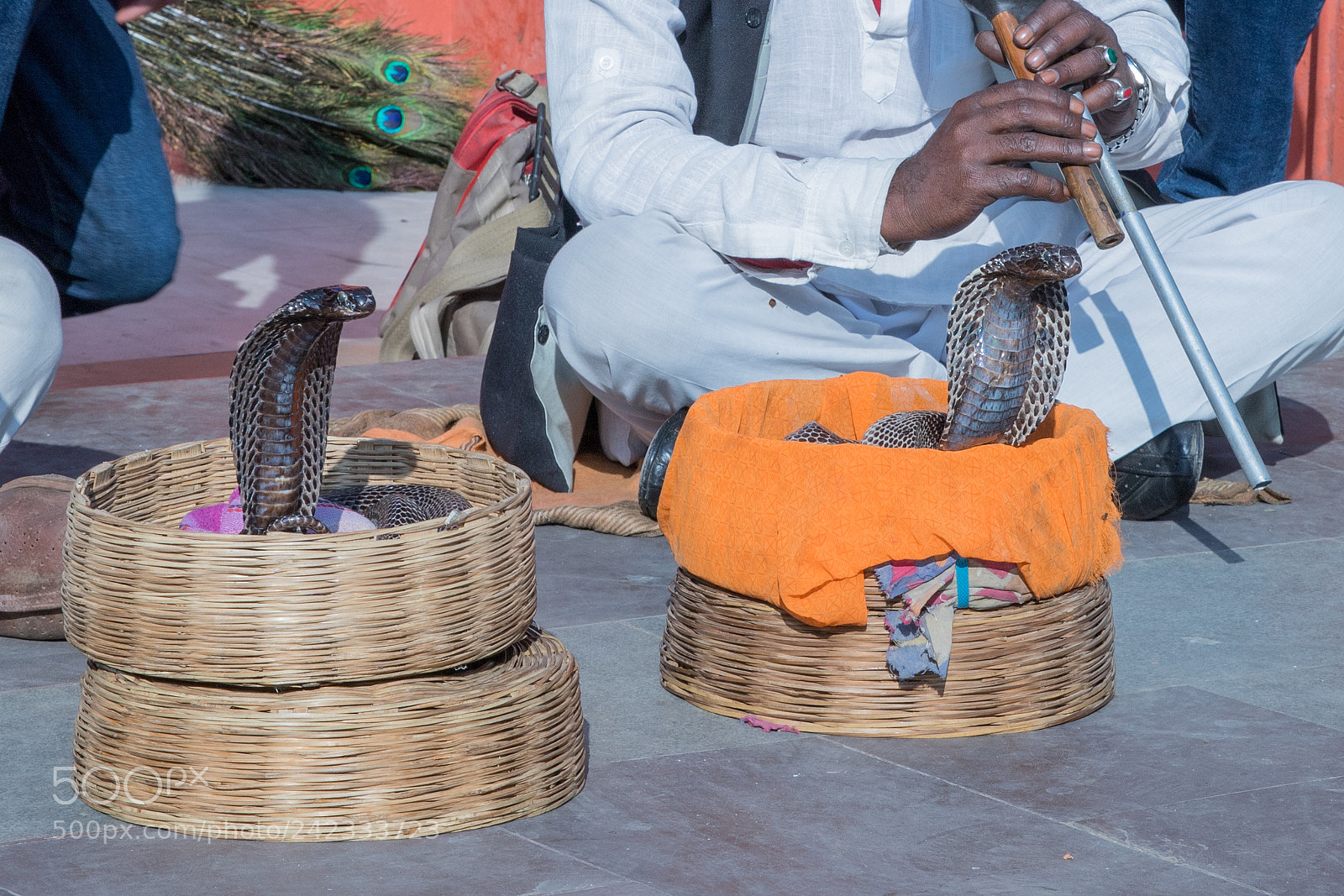 Canon EOS 6D Mark II sample photo. Img photography