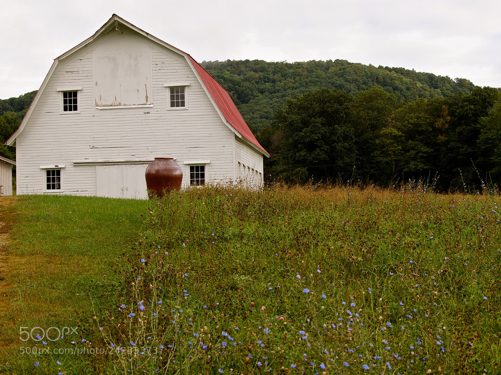 Olympus E-5 sample photo. Barn clay pot photography