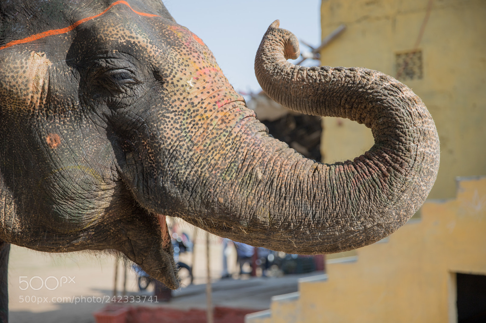 Canon EOS 6D Mark II sample photo. Img photography